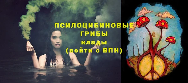 трава Армянск